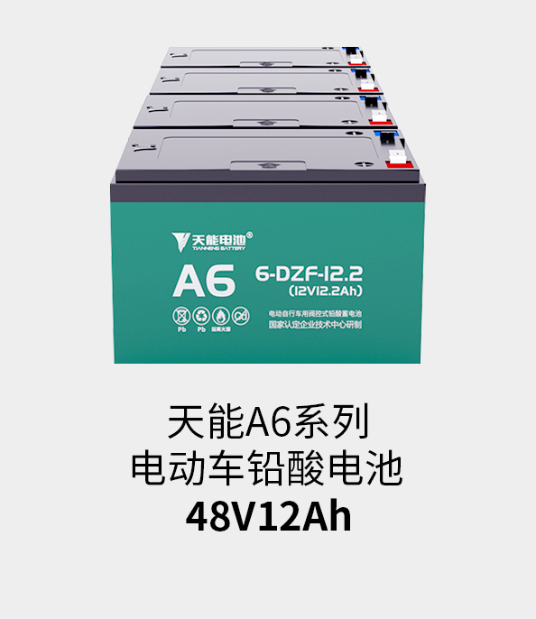 金沙娱场城app下载电池48v12ah