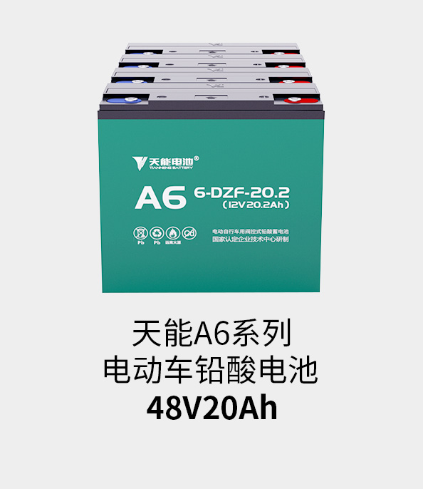 金沙娱场城app下载电池48v20ah